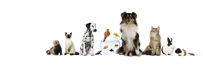 Riverside Veterinary Clinic Picture 9