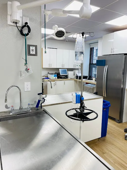 Community Veterinary Medicine Picture 9