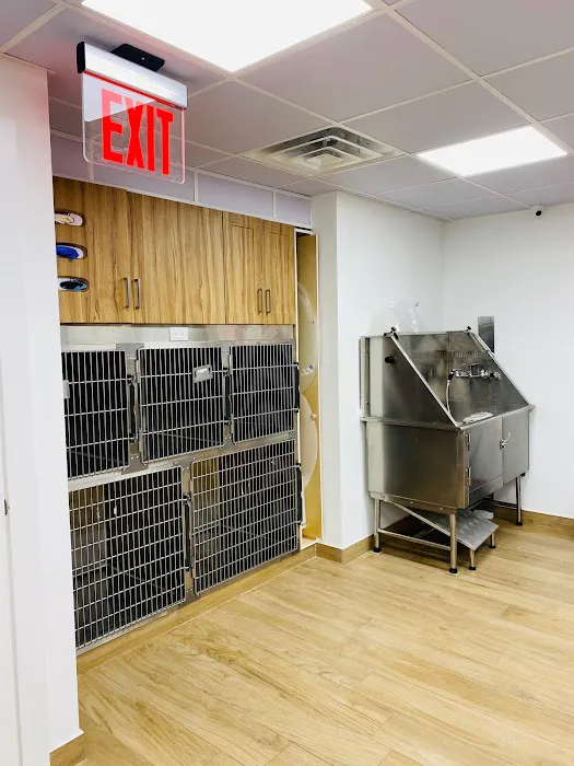 Community Veterinary Medicine Picture 8