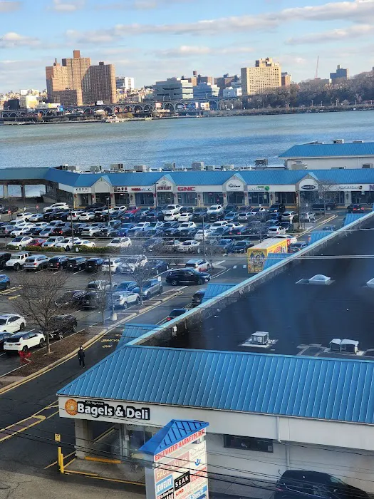 Animal General on Hudson Picture 1