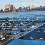 Animal General on Hudson