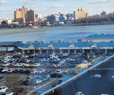 Animal General on Hudson