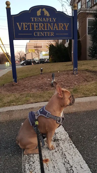 Tenafly Veterinary Center Picture 2