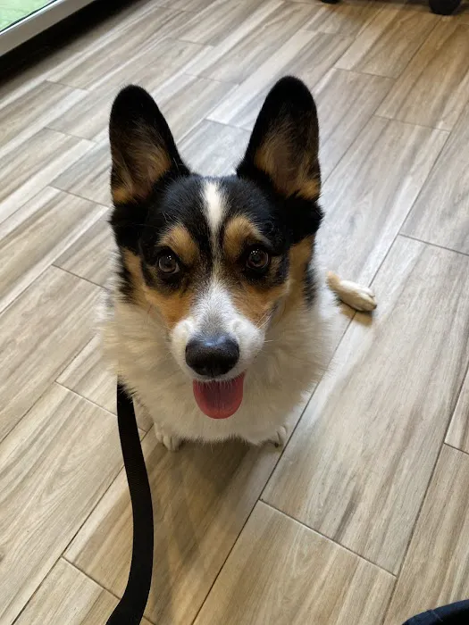 Tenafly Veterinary Center Picture 1