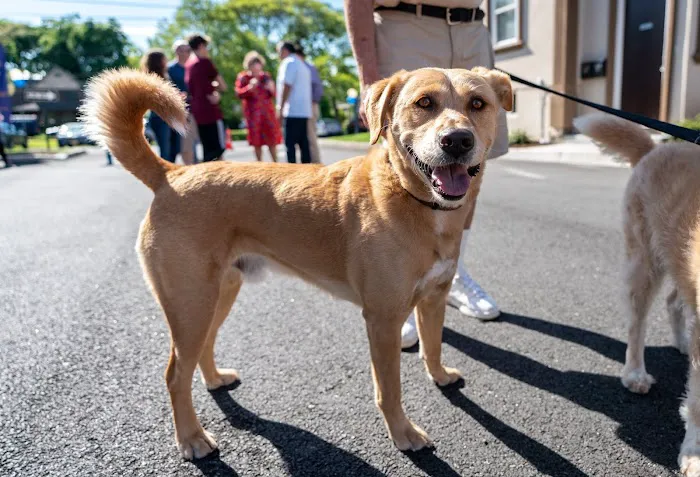 Tenafly Veterinary Center Picture 8
