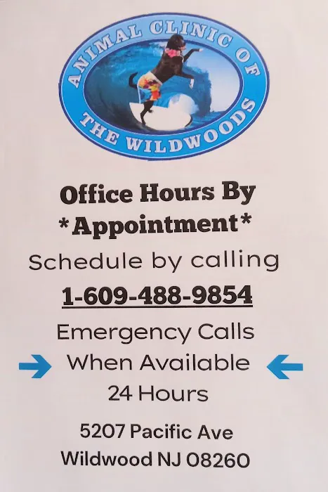 Animal Clinic of the Wildwoods Picture 9
