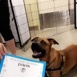 Vetco Vaccination Clinic