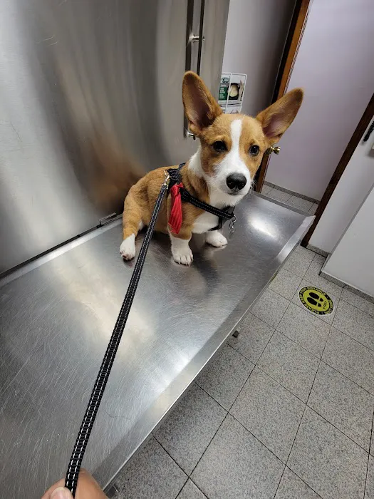 Liberty Animal Clinic Picture 1