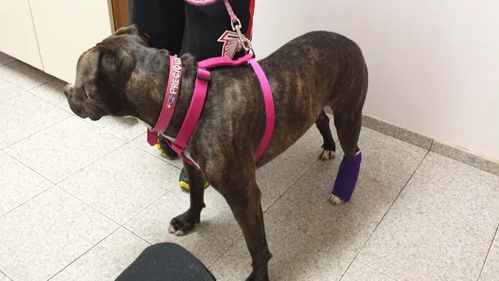 Liberty Animal Clinic Picture 2