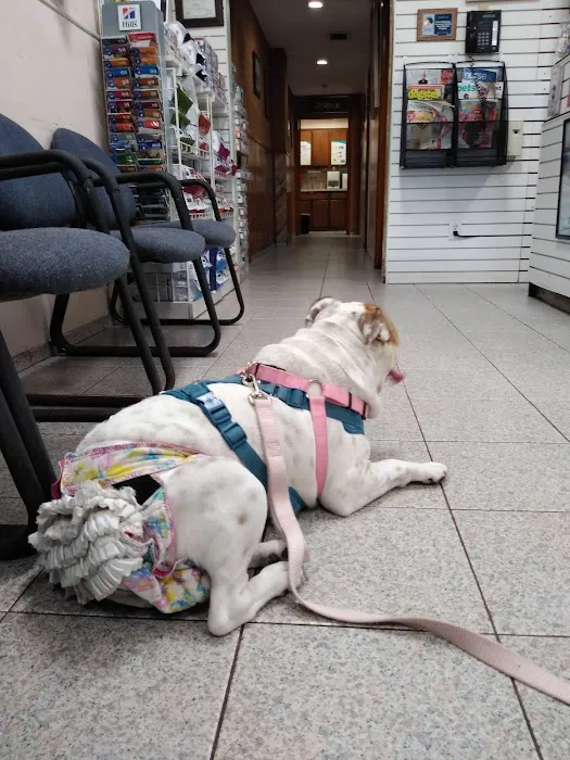 Liberty Animal Clinic Picture 10