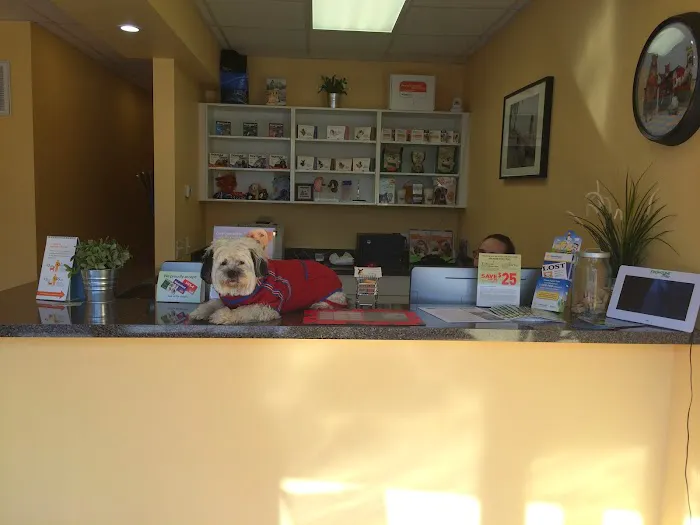 Glendale Veterinary Clinic Picture 2