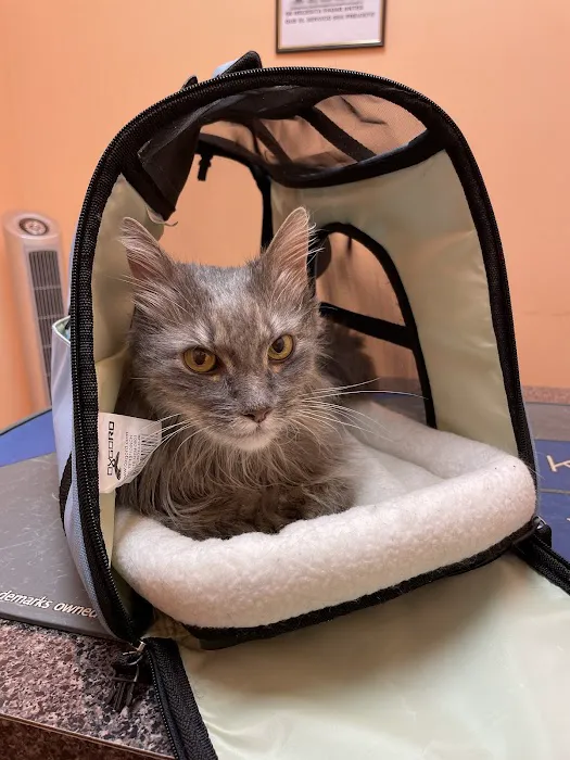 Glendale Veterinary Clinic Picture 6