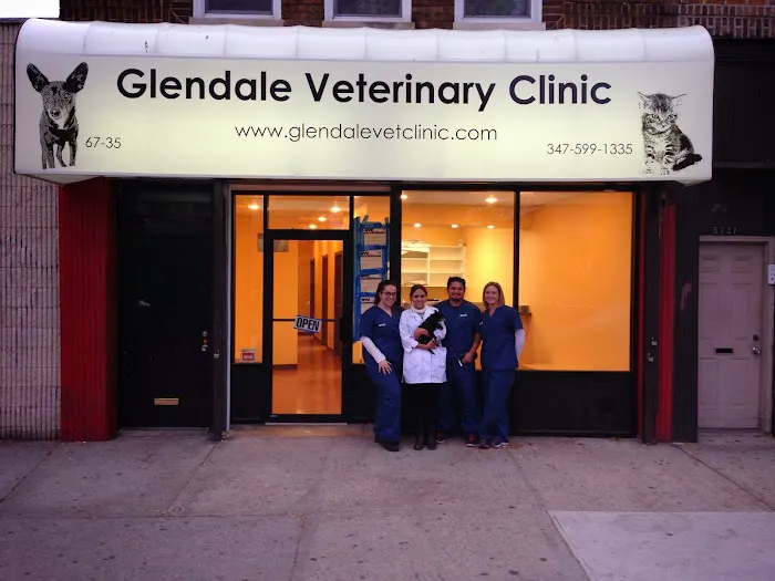 Glendale Veterinary Clinic Picture 10
