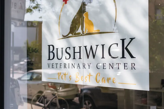Bushwick Veterinary Center Picture 1