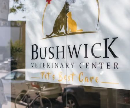 Bushwick Veterinary Center