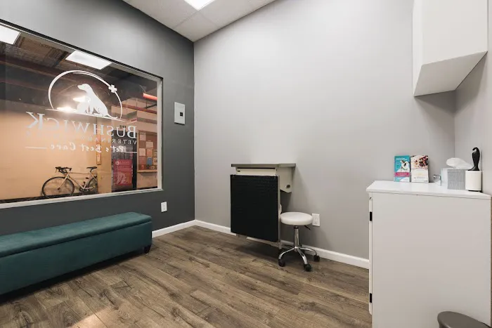 Bushwick Veterinary Center Picture 5