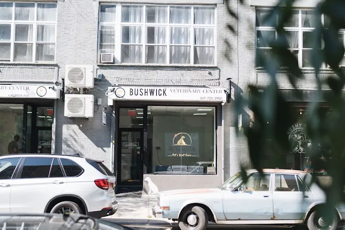 Bushwick Veterinary Center Picture 10