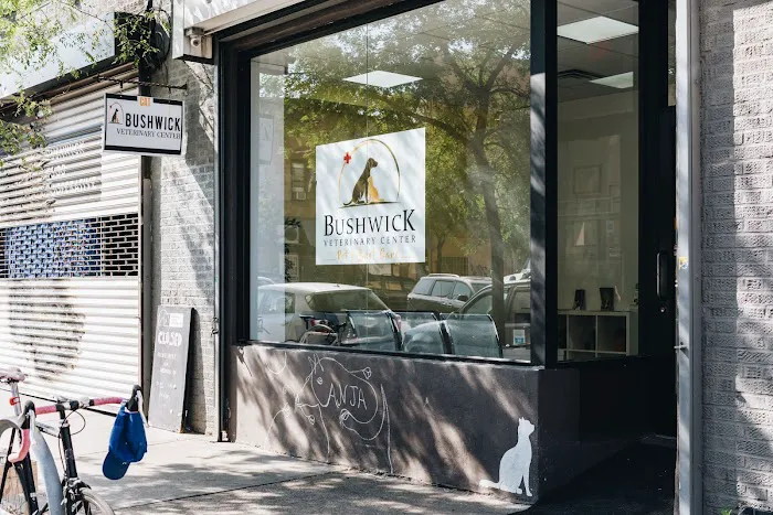 Bushwick Veterinary Center Picture 9