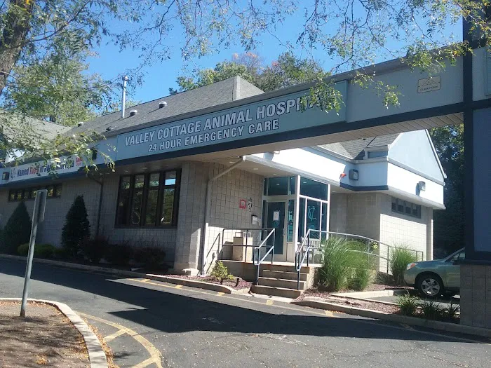 Valley Cottage Animal Hospital Picture 3