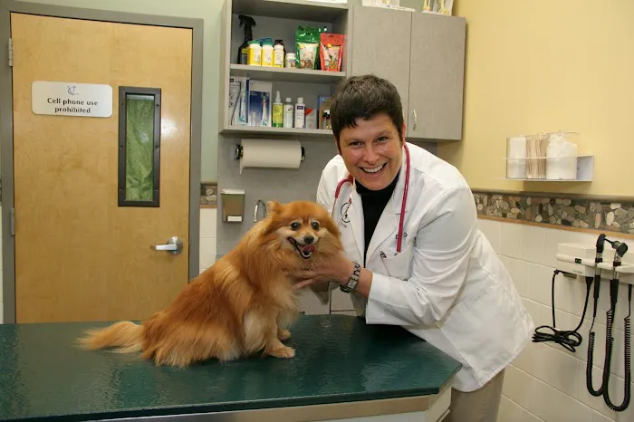 Valley Cottage Animal Hospital Picture 9