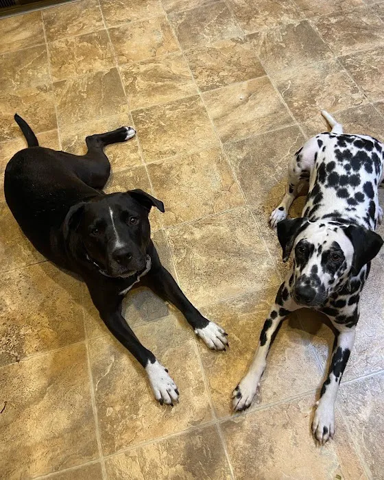 Valley Cottage Animal Hospital Picture 7