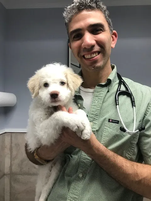 Sleepy Hollow Animal Hospital Picture 4