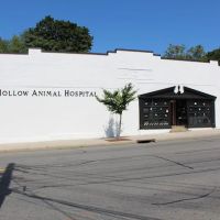 Sleepy Hollow Animal Hospital ico