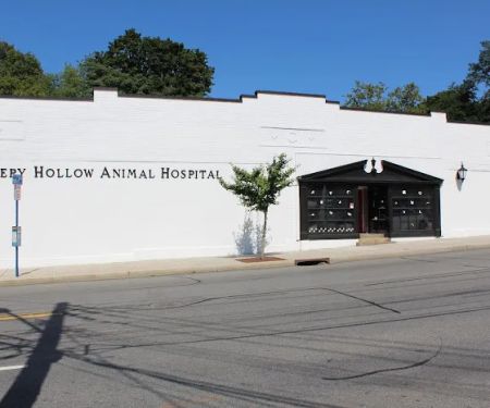 Sleepy Hollow Animal Hospital