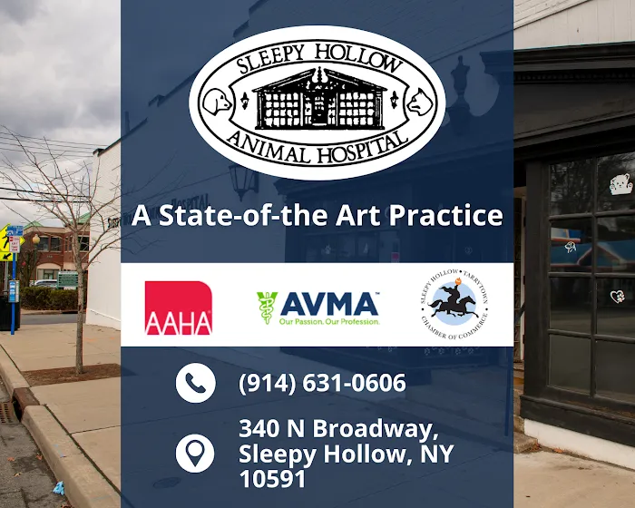 Sleepy Hollow Animal Hospital Picture 10