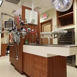 Northvale Veterinary Clinic Picture 6