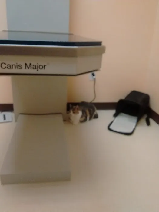 Northvale Veterinary Clinic Picture 5