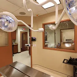 Northvale Veterinary Clinic Picture 10