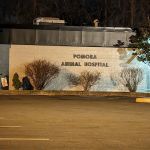 Rockland Veterinary Care - Pomona