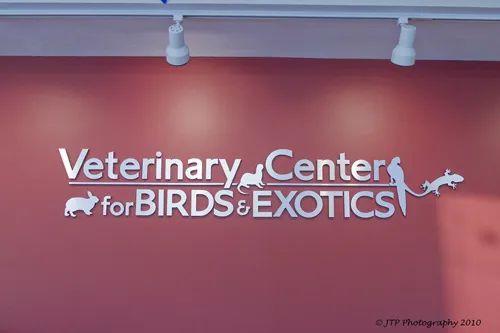 LAURIE HESS DVM - EXOTIC PET VET Picture 4