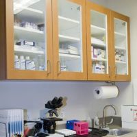 LAURIE HESS DVM - EXOTIC PET VET ico