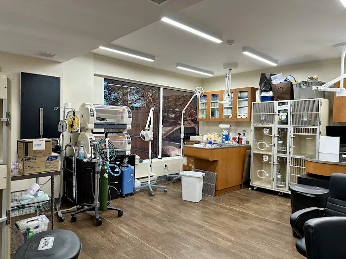 Veterinary Center for Birds & Exotics Picture 1