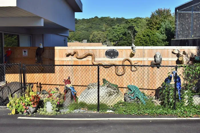 Veterinary Center for Birds & Exotics Picture 3