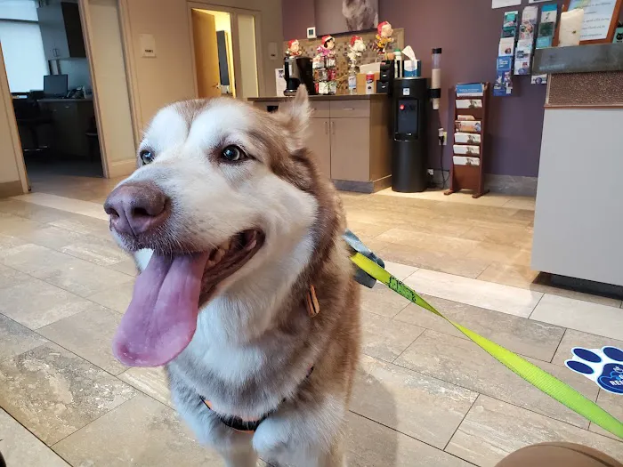 Katonah Bedford Veterinary Center Picture 1