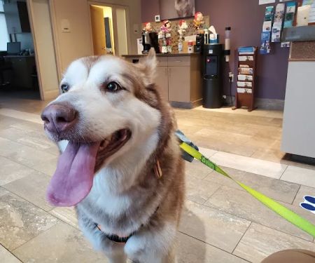 Katonah Bedford Veterinary Center