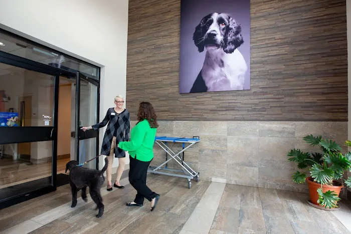 Katonah Bedford Veterinary Center Picture 6