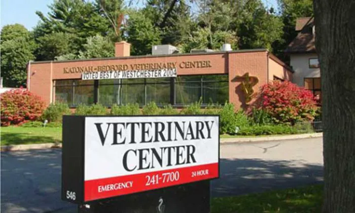 Katonah Bedford Veterinary Center Picture 7