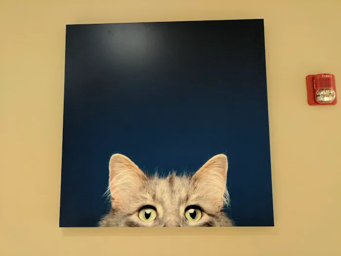Katonah Bedford Veterinary Center Picture 5