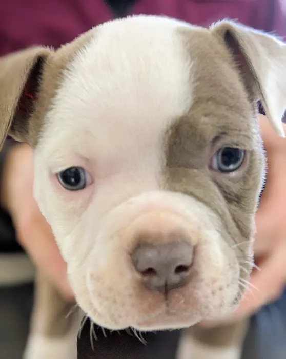 Middlebranch Veterinary Picture 5