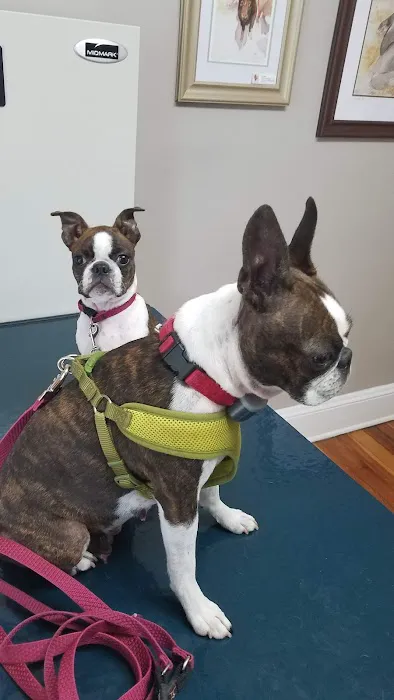 Middlebranch Veterinary Picture 9