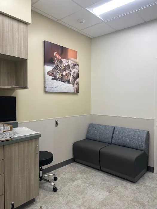 VCA Mount Kisco Veterinary Clinic Picture 9