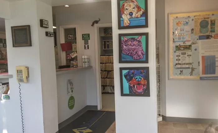 Diamond Veterinary Hospital Picture 8