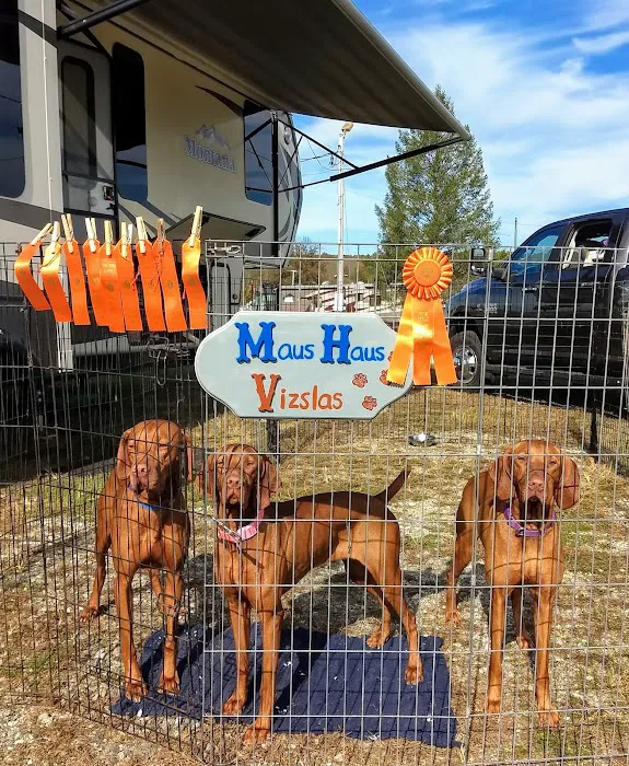 PatterPaws Animal Hospital Picture 7
