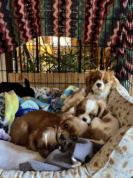 Brook Farm Veterinary Center Picture 7