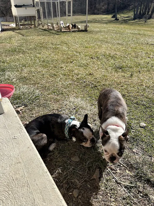 Roosevelt Veterinary Center Picture 6