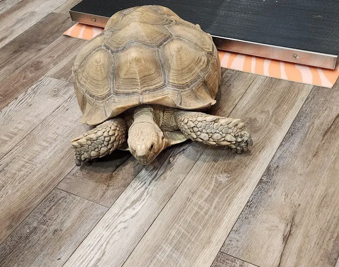 Southeast Animal Hospital Picture 9
